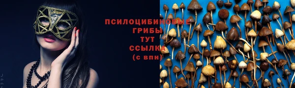прущий лед Алексин